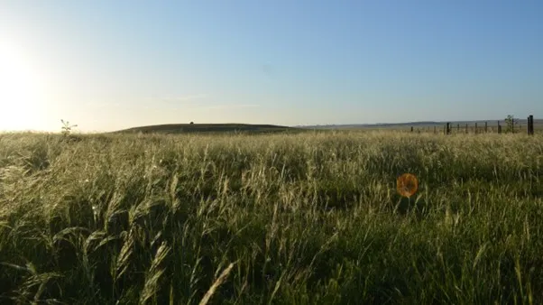 Benchmarking como herramienta