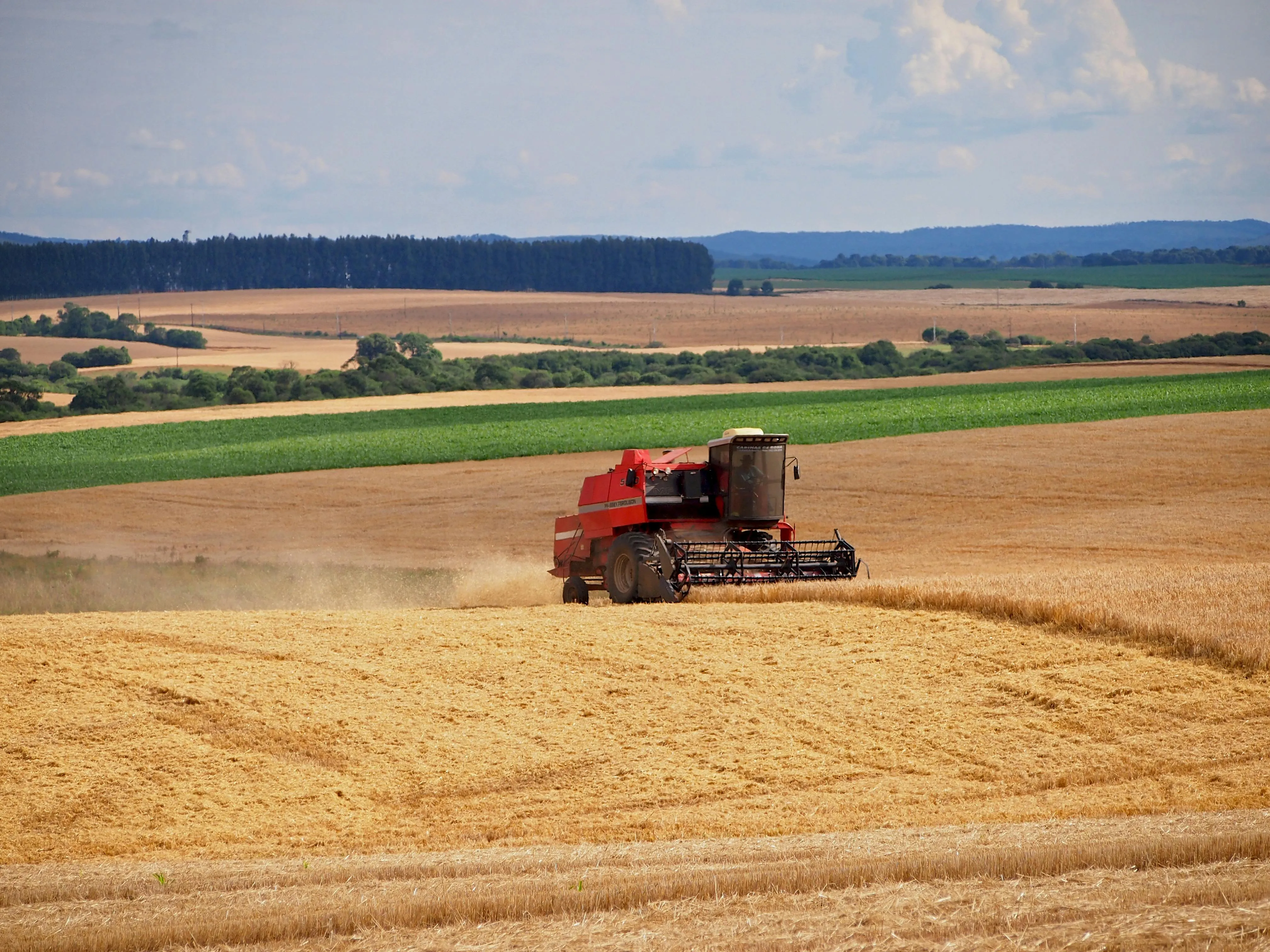 Presupuestaciones Forrajeras